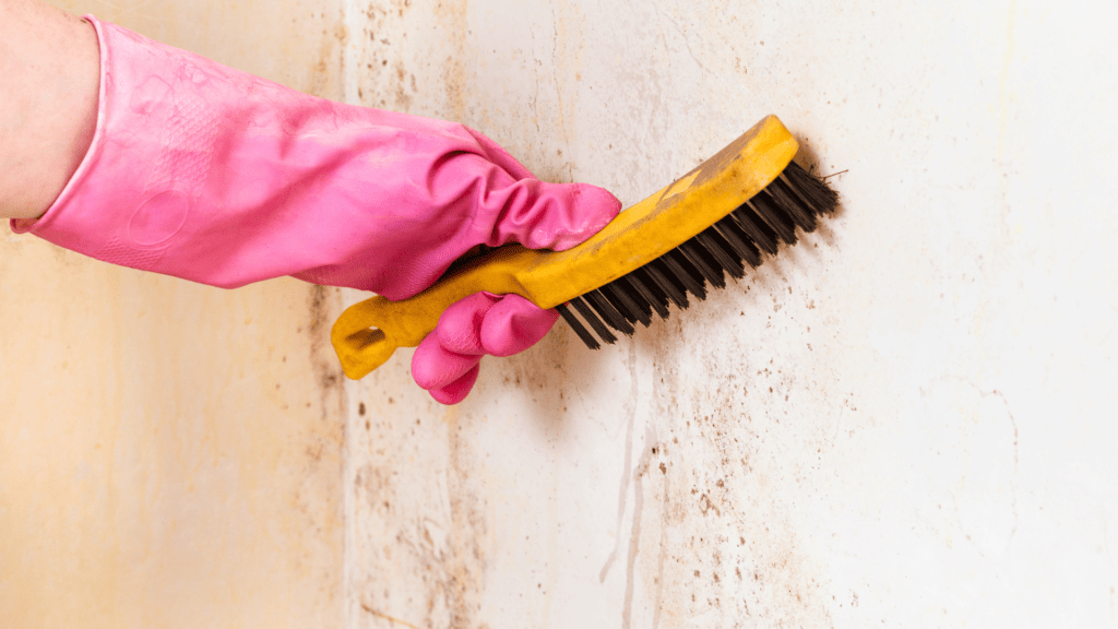 cleaning plaster