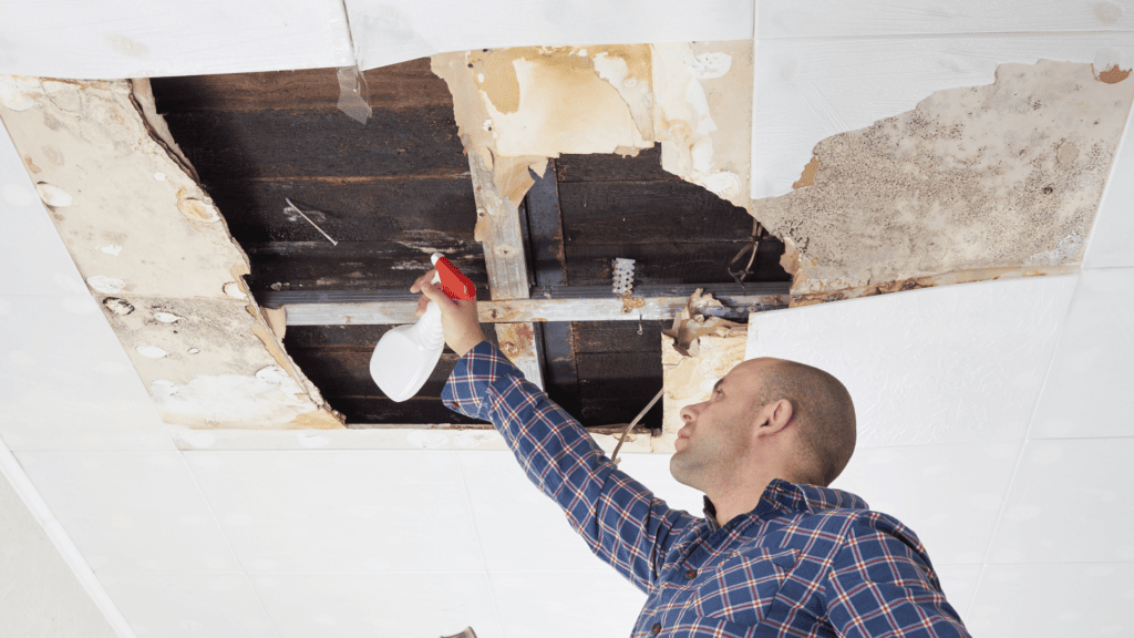 plastering dust melbourne